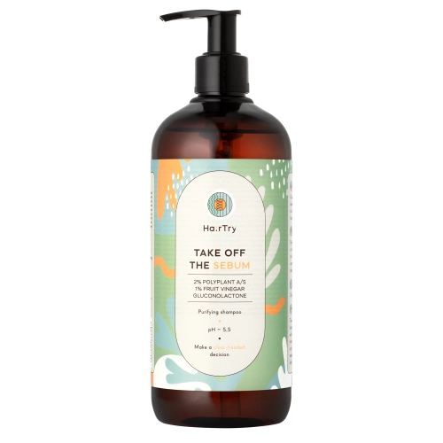 HairTry - Take Off The Sebum - Cleansing Shampoo - 500ml 
