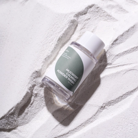 Isntree - Mugwort Calming Powder Wash - Face Wash - 15g