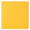 ELROEL - Pang Pang Sun Cushion Plus - 15g